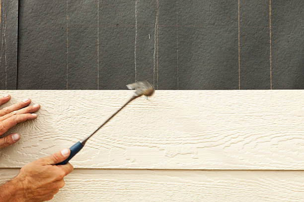 Best Siding Painting and Refinishing  in USA